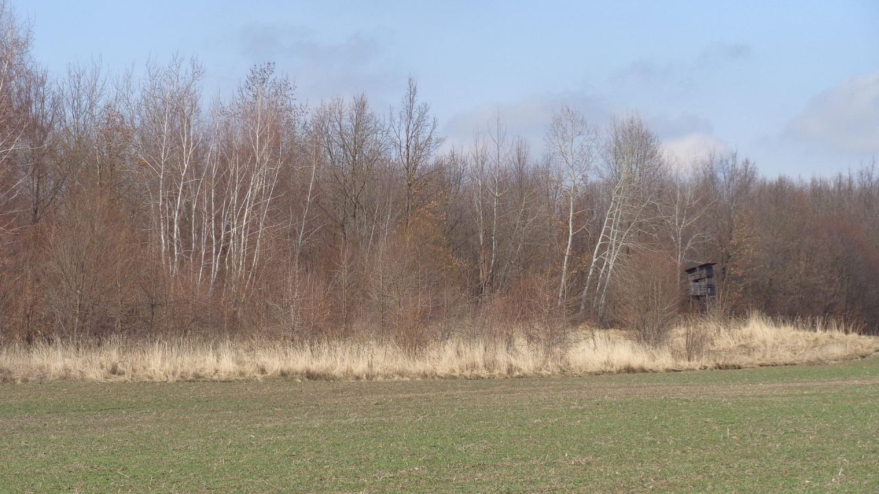 Działka rolno-budowlana Leśniczówka. Zdjęcie 4