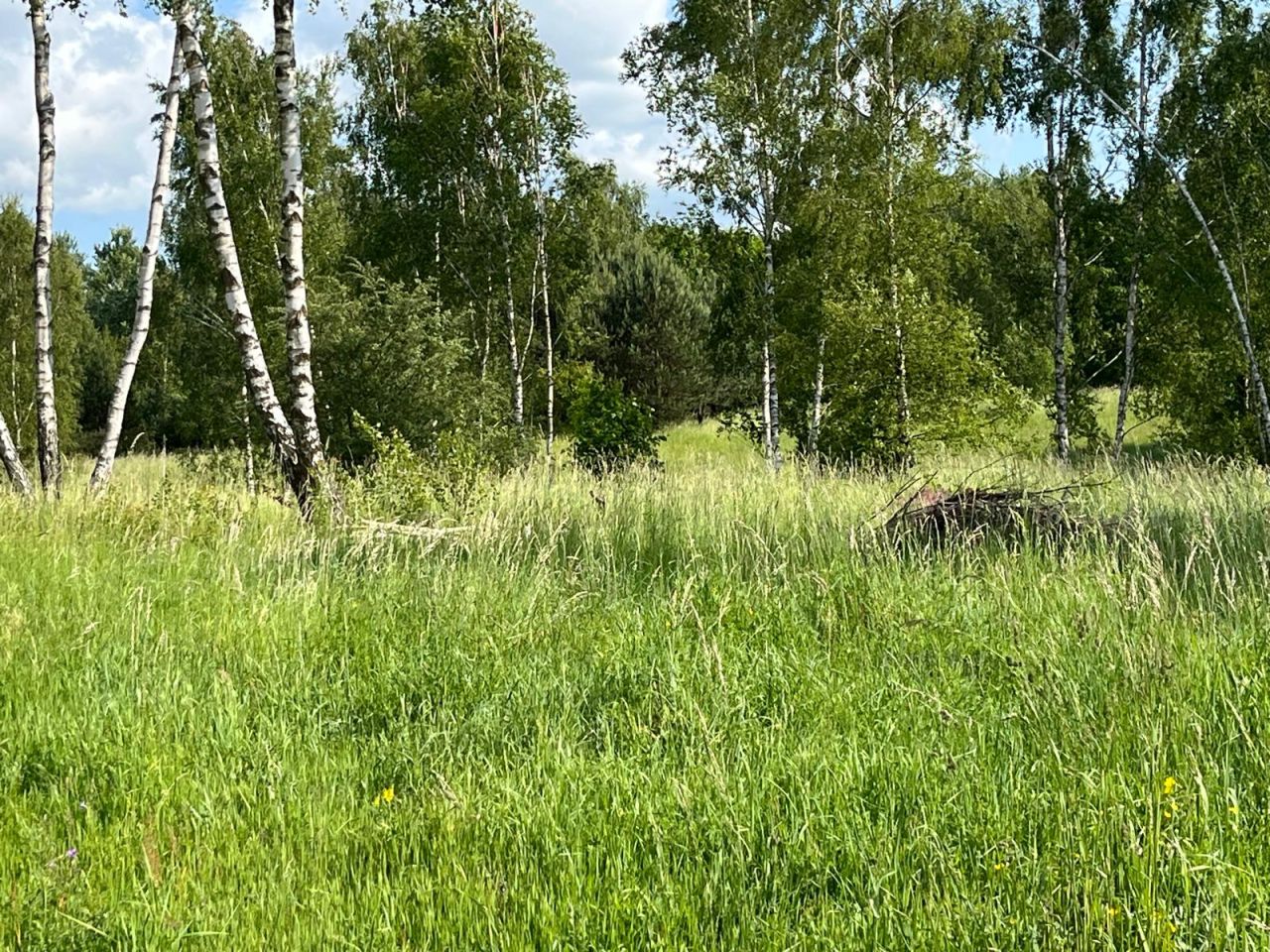 Działka budowlana Graniczna Wieś Pruska Karczma, ul. Jarzębinowa. Zdjęcie 6