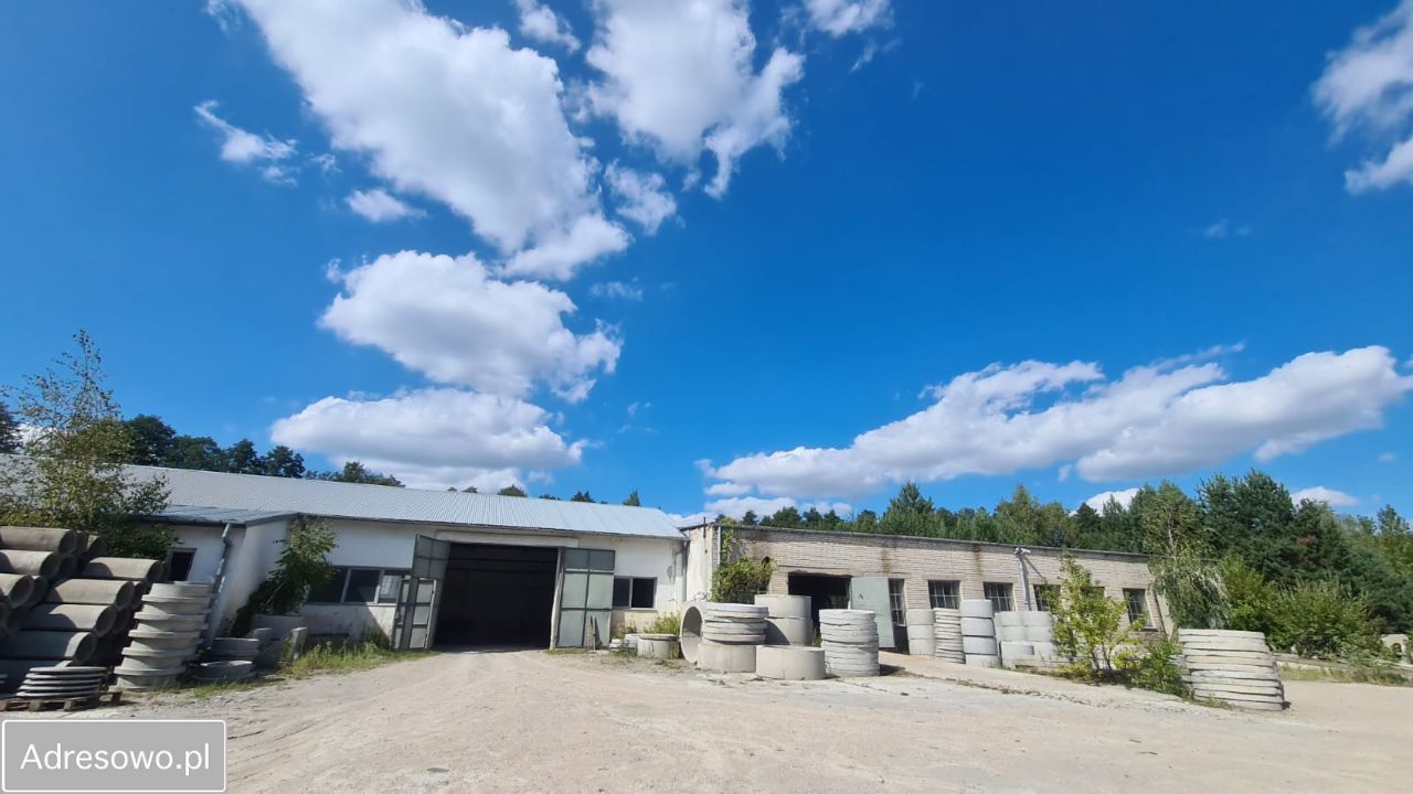 Hala/magazyn Mrozy, ul. Nadrzeczna. Zdjęcie 4