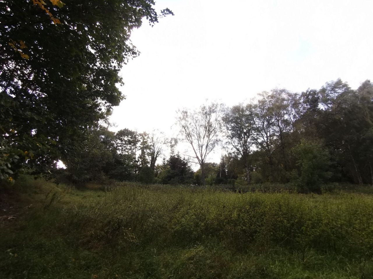 Działka inna Złotów, ul. ks. dr. Bolesława Domańskiego. Zdjęcie 10