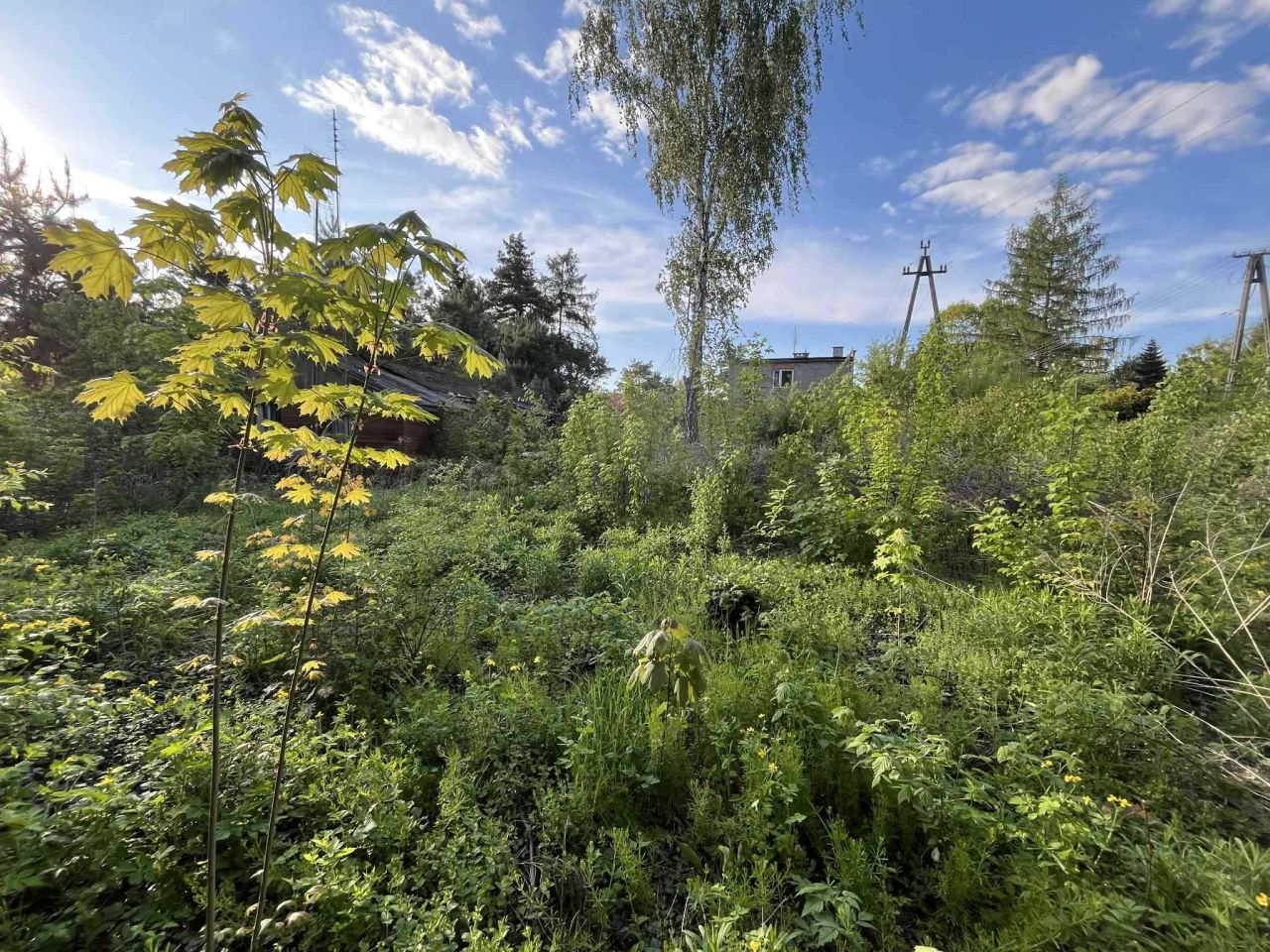 Działka budowlana Otrębusy, ul. Poranna. Zdjęcie 7