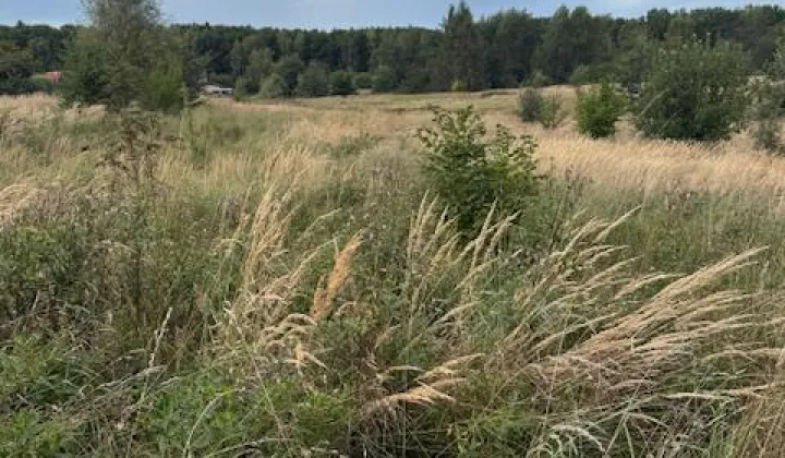 Działka budowlana Mysłowice Morgi, ul. Jana Kochanowskiego