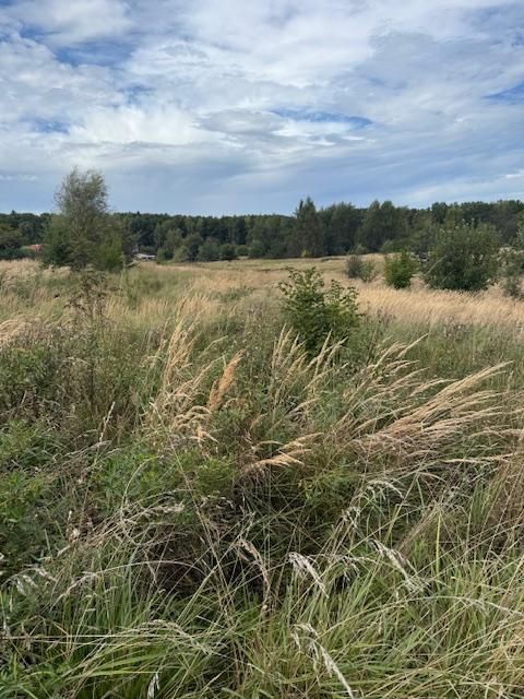 Działka budowlana Mysłowice Morgi, ul. Jana Kochanowskiego