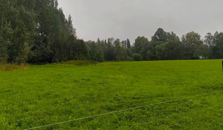 Działka rolno-budowlana Ciche