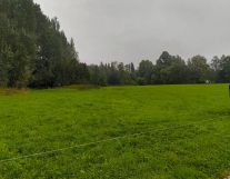 Działka rolno-budowlana Ciche