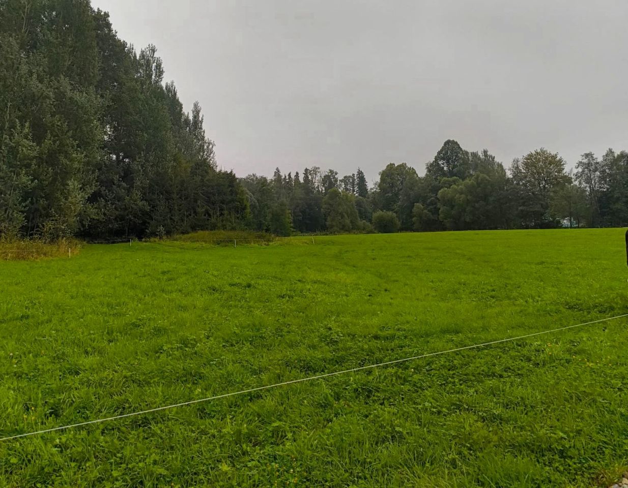 Działka rolno-budowlana Ciche