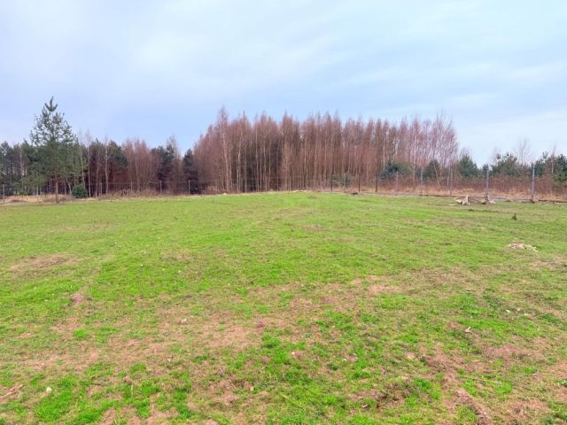 Działka budowlana Dąbrowa nad Czarną. Zdjęcie 1