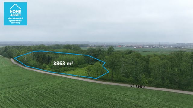 Działka budowlana Werblinia, ul. Leśna. Zdjęcie 6
