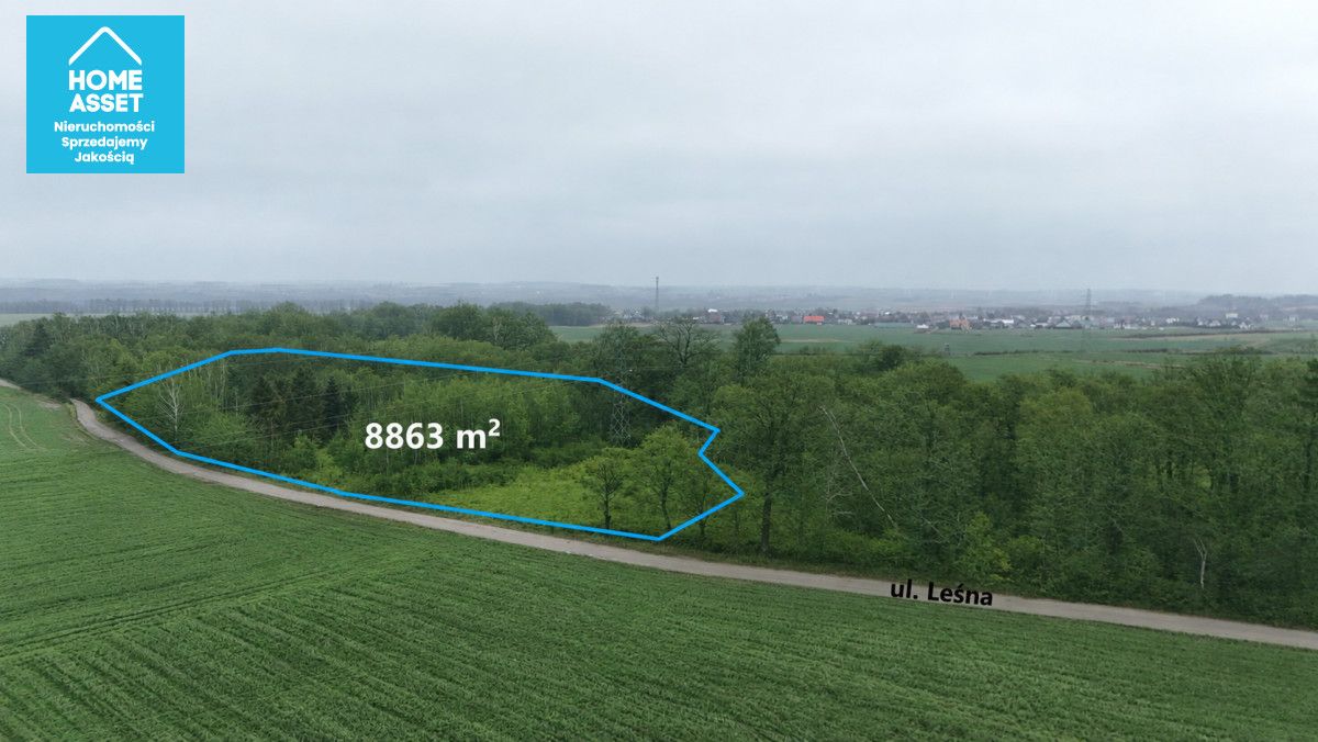 Działka budowlana Werblinia, ul. Leśna. Zdjęcie 6
