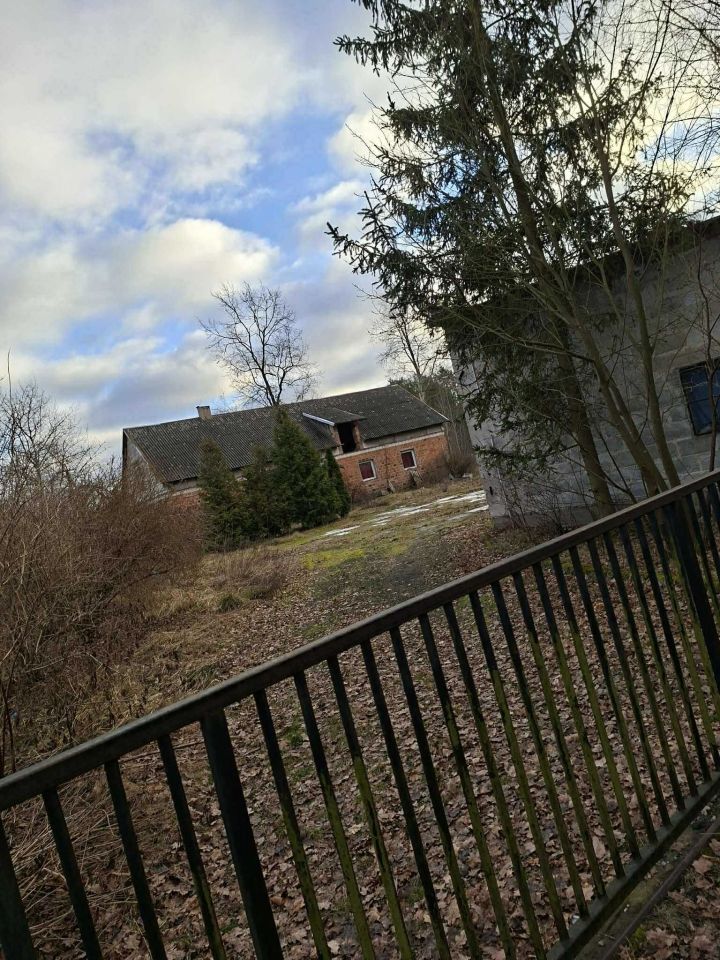 Działka rolno-budowlana Wołuszewo. Zdjęcie 2