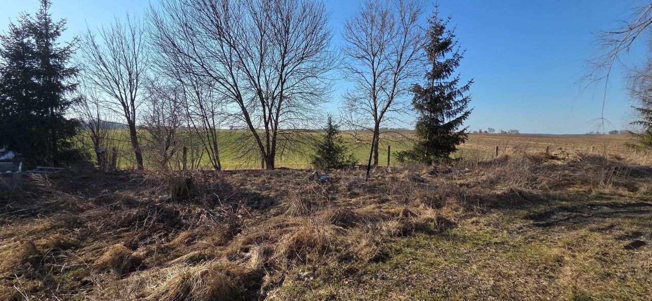 gospodarstwo Płochocin. Zdjęcie 6