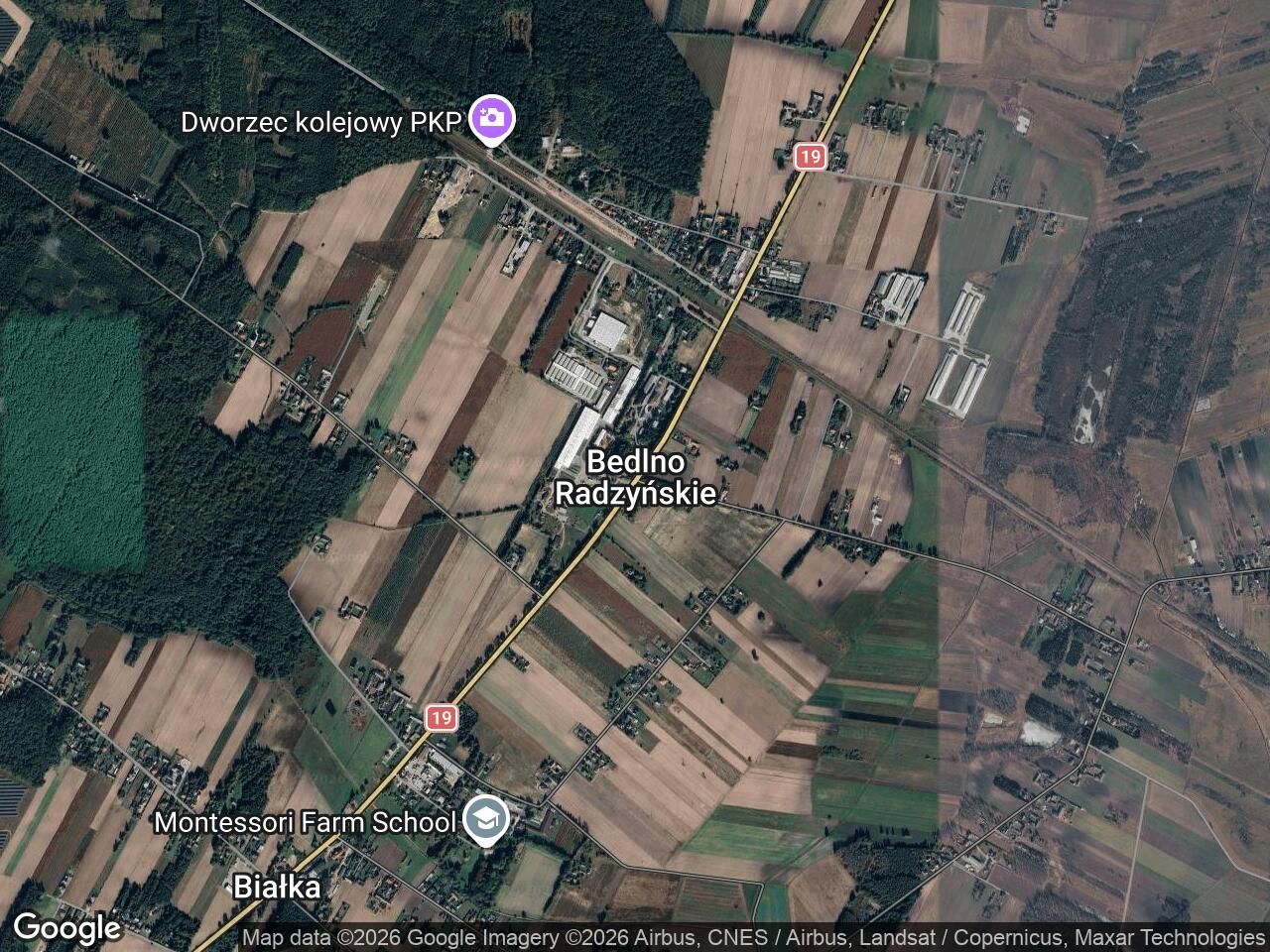 Działka rolno-budowlana Bedlno Radzyńskie. Zdjęcie 1