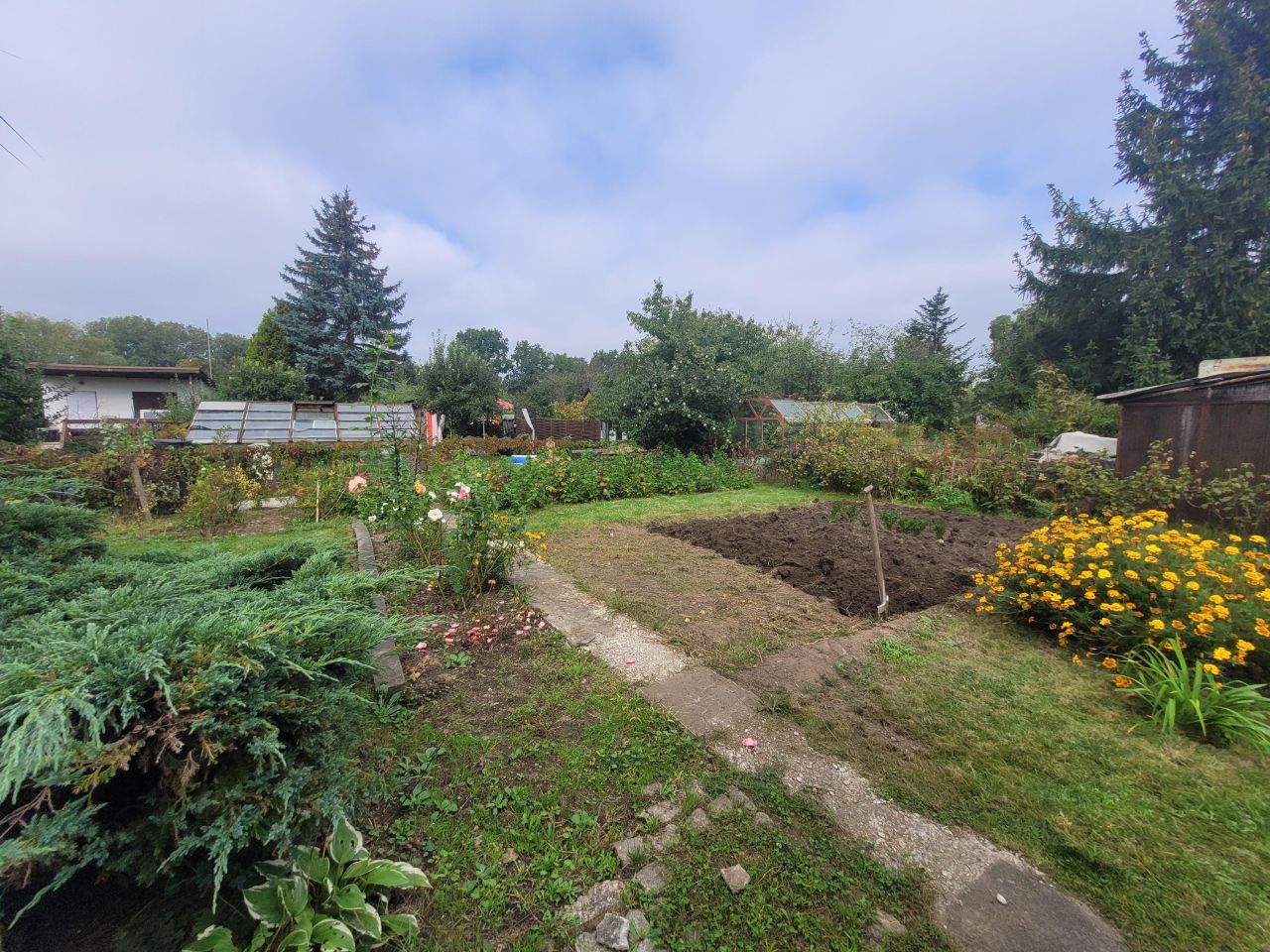 Działka rod Wrocław, ul. Strachowicka. Zdjęcie 6