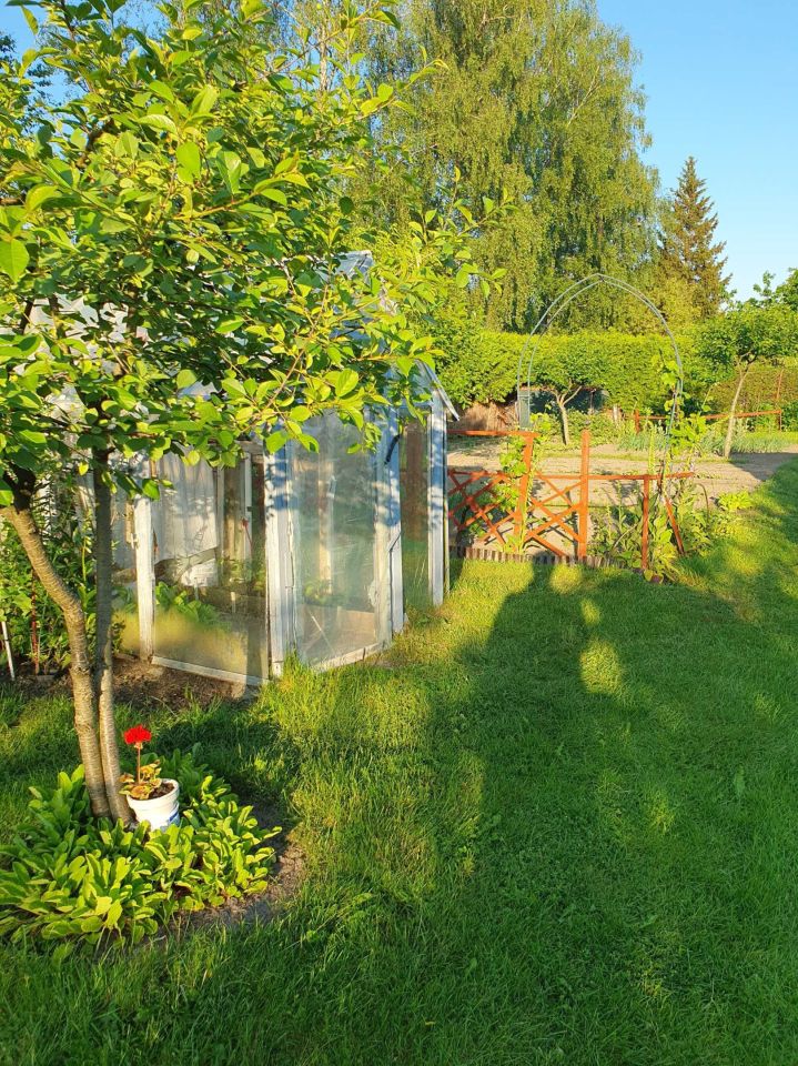 Działka rod Braniewo. Zdjęcie 7