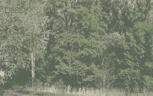 Działka inna Ruda Śląska, ul. Młyńska. Zdjęcie 2