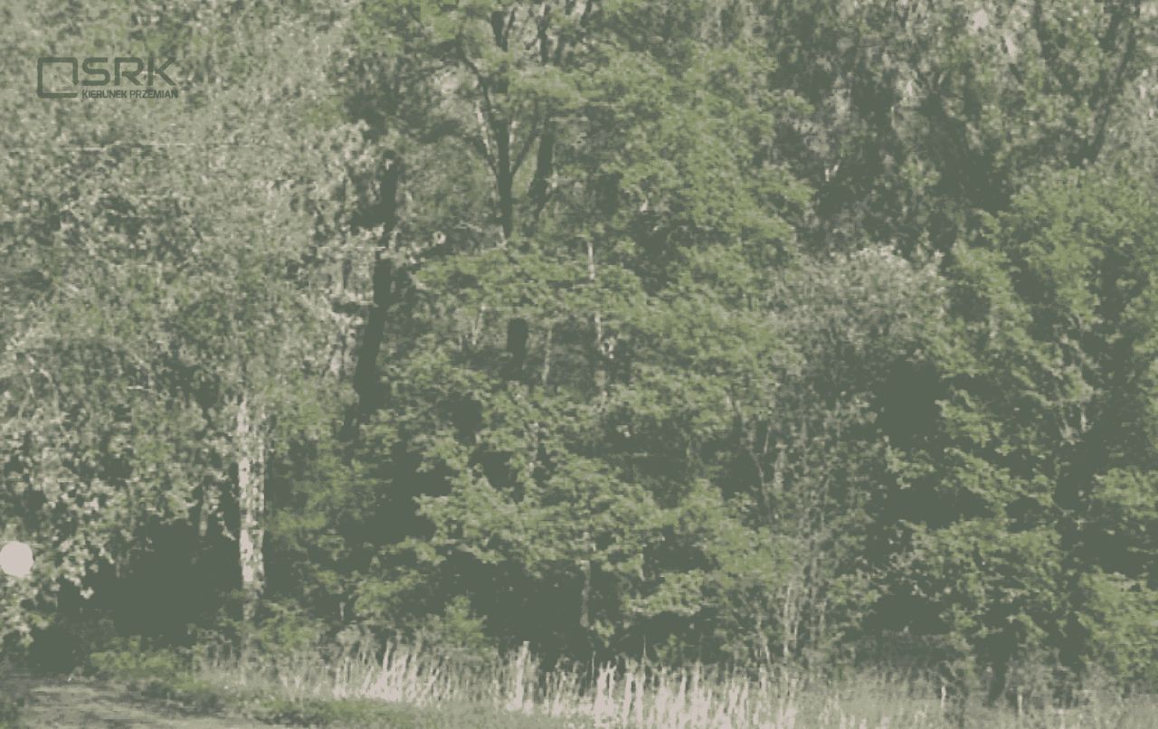 Działka Ruda Śląska, ul. Młyńska. Zdjęcie 2