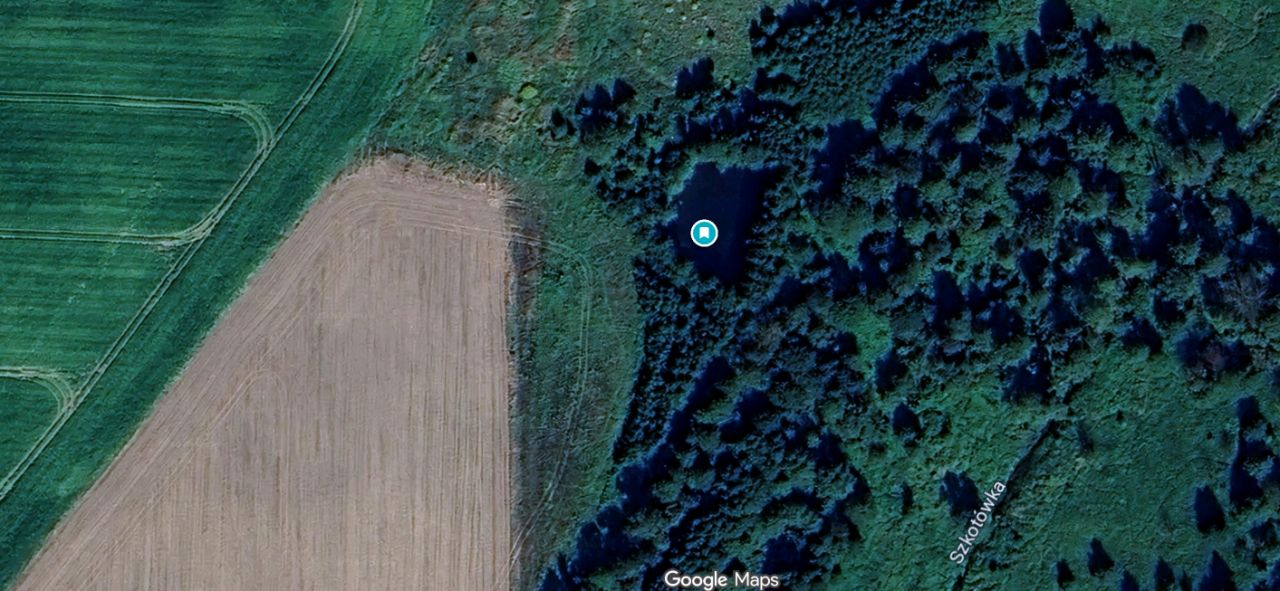 Działka rolno-budowlana Gołębiewo. Zdjęcie 2