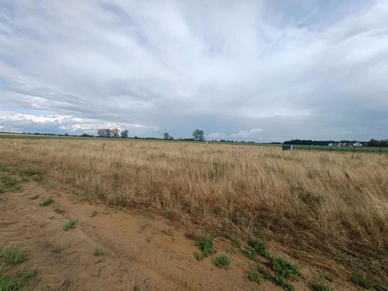 Działka budowlana Ciepielowice. Zdjęcie 6