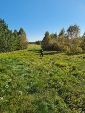 Działka rolno-budowlana Bobrownik. Zdjęcie 1