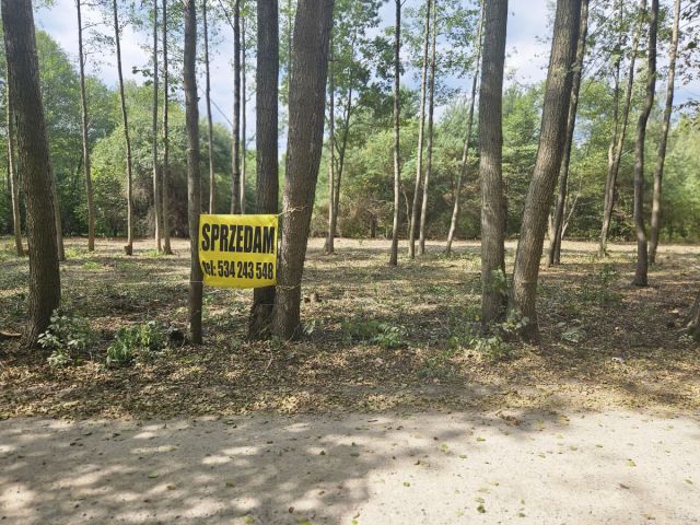 Działka budowlana Żanęcin, ul. Gościniec. Zdjęcie 10