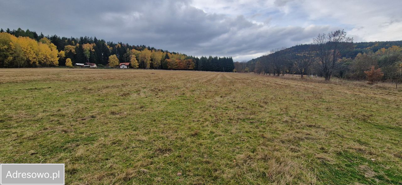 Działka budowlana Chocieszów. Zdjęcie 11