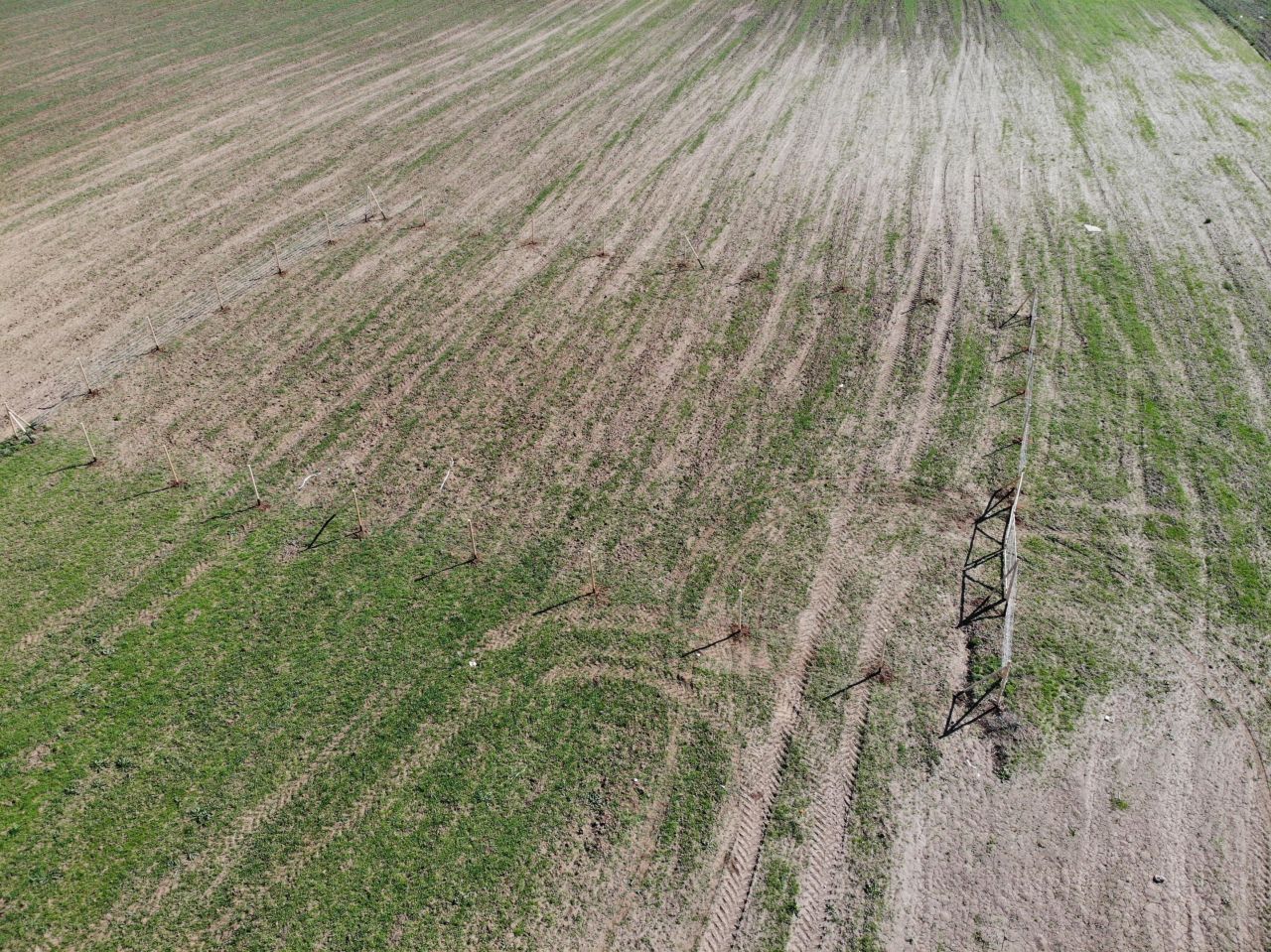 Działka budowlana Białołęka. Zdjęcie 8