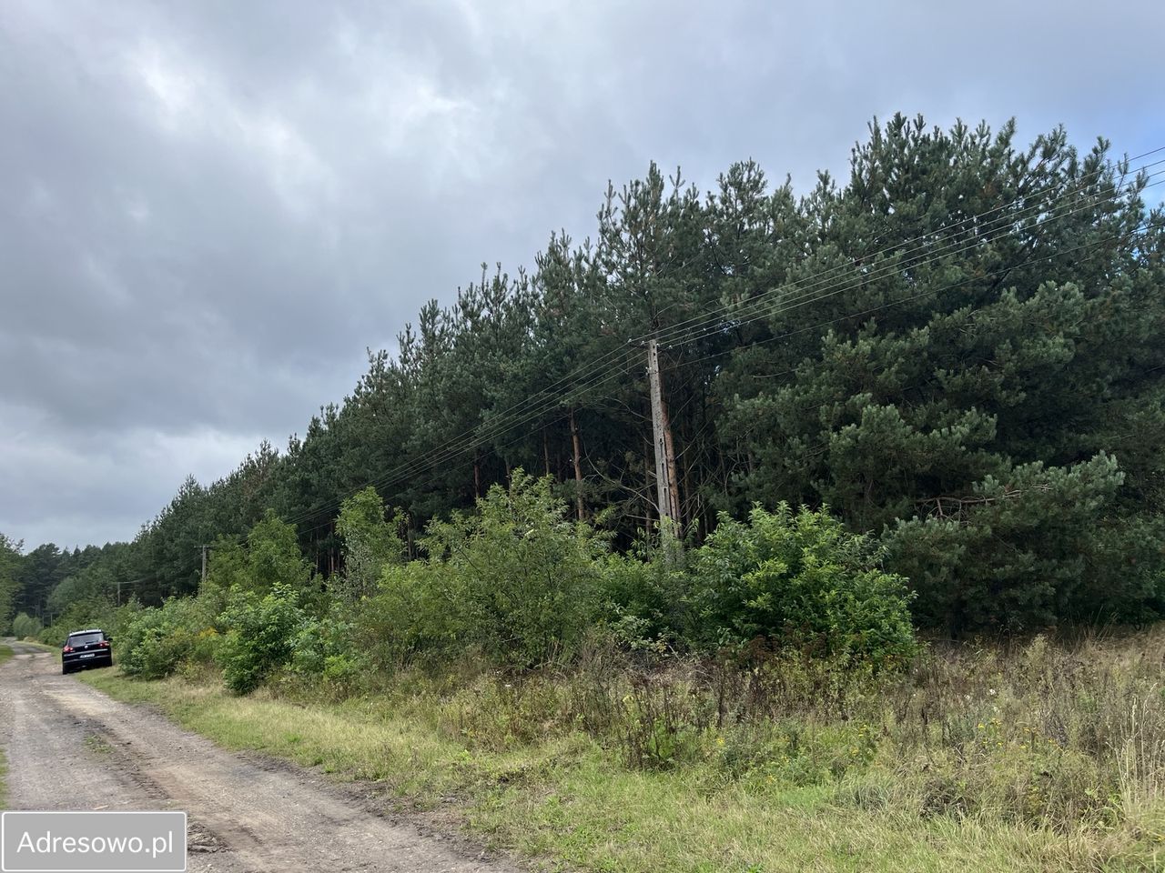 Działka leśna Bedlno. Zdjęcie 5