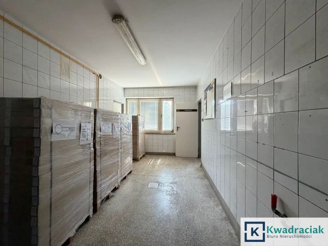 Lokal Krajowice. Zdjęcie 11
