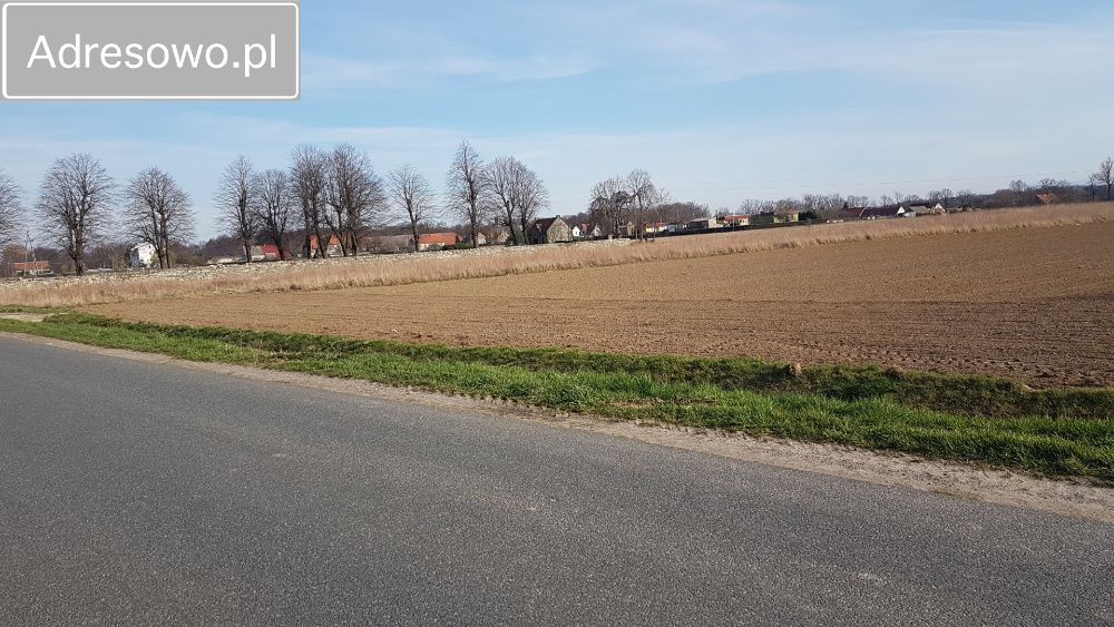 Działka rolna Morawa. Zdjęcie 4