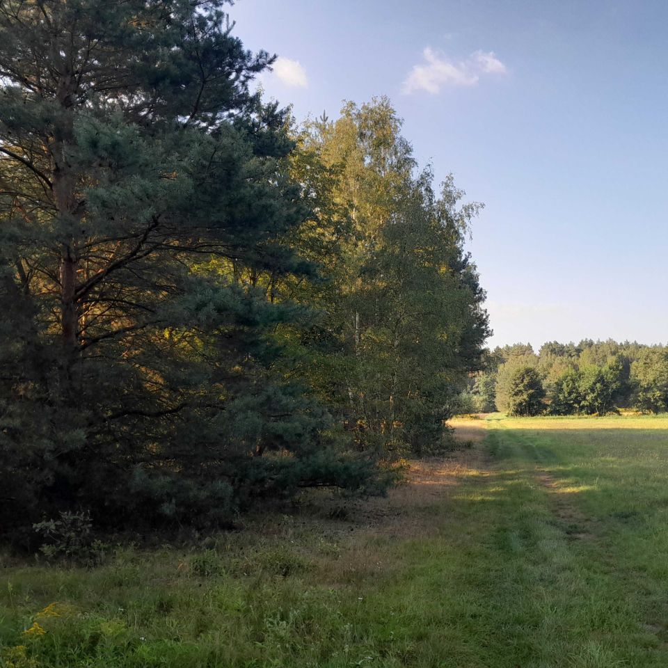 Działka budowlana Biedaszków Wielki, Nie ma nazwy ulicy. Zdjęcie 3
