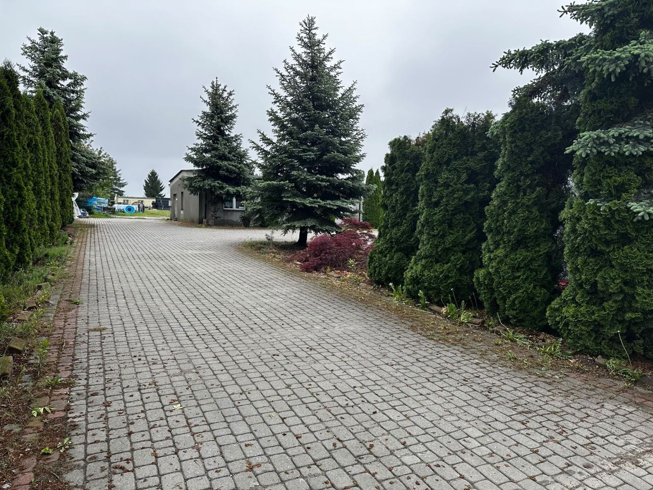 Hala/magazyn Tarnobrzeg Nagnajów, ul. Strefowa. Zdjęcie 57