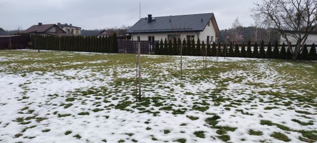 Działka budowlana Rokiciny-Kolonia. Zdjęcie 1