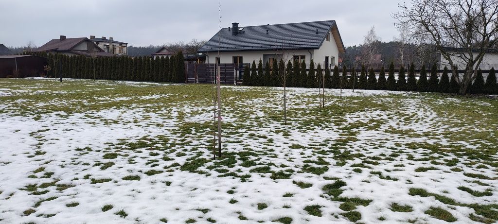 Działka budowlana Rokiciny-Kolonia. Zdjęcie 1