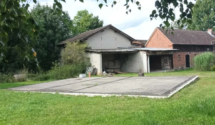 siedlisko Strzelinko