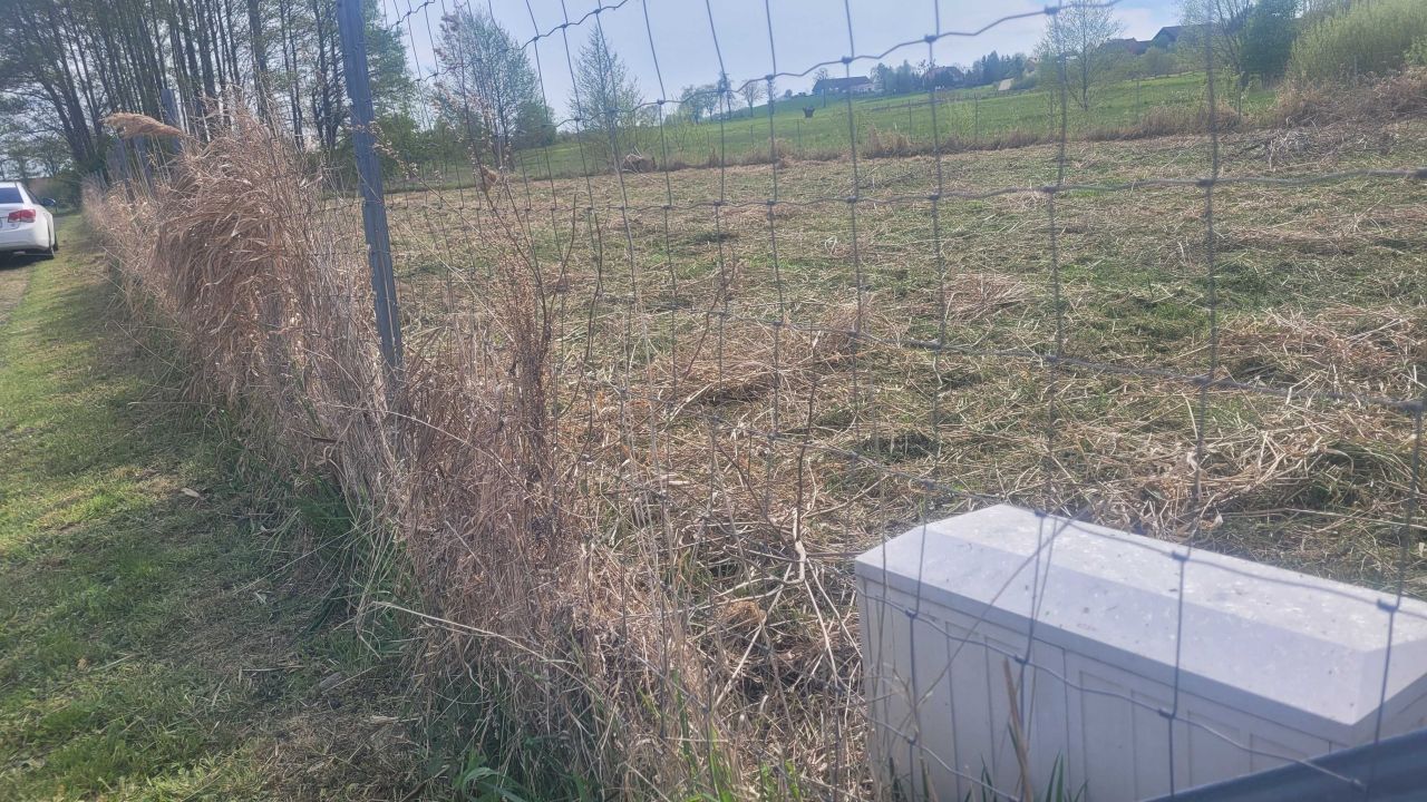 Działka rekreacyjna Leśniewo. Zdjęcie 3