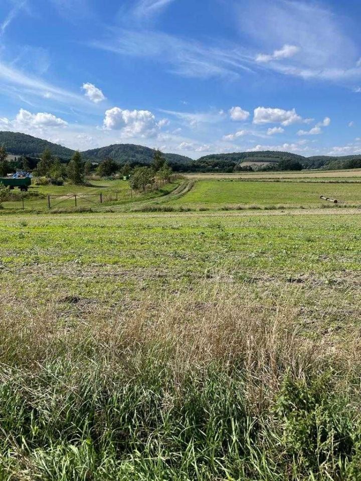 Działka budowlana Witoszów Dolny. Zdjęcie 4