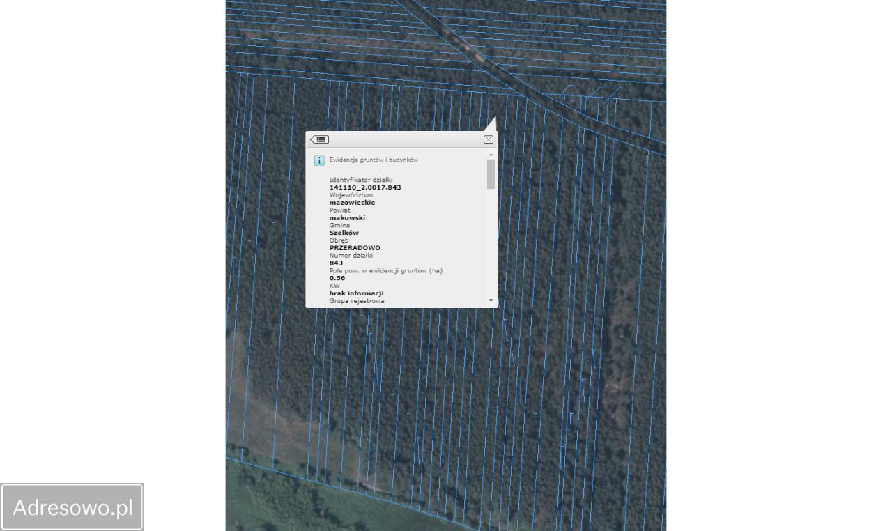 Działka leśna Przeradowo. Zdjęcie 2