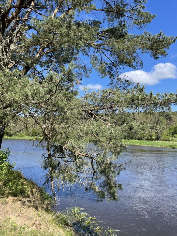 Działka rolna Szablak. Zdjęcie 4