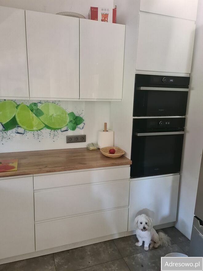 siedlisko, 4 pokoje Sierosław. Zdjęcie 2