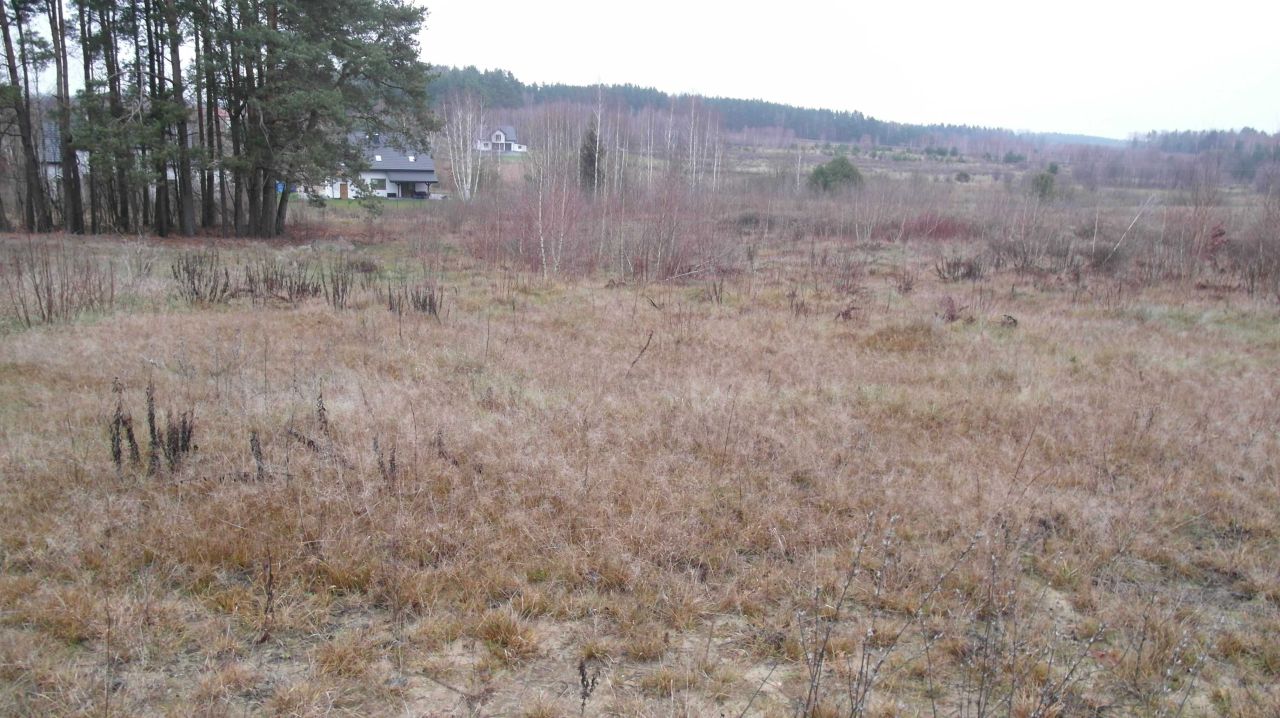 Działka budowlana Karakule. Zdjęcie 8