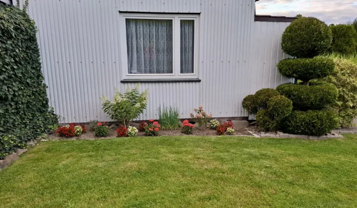 Działka rekreacyjna Czaniec Bukowiec, ul. Bażantów