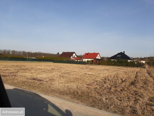 Działka budowlana Gołuchów, ul. Klonowa. Zdjęcie 1