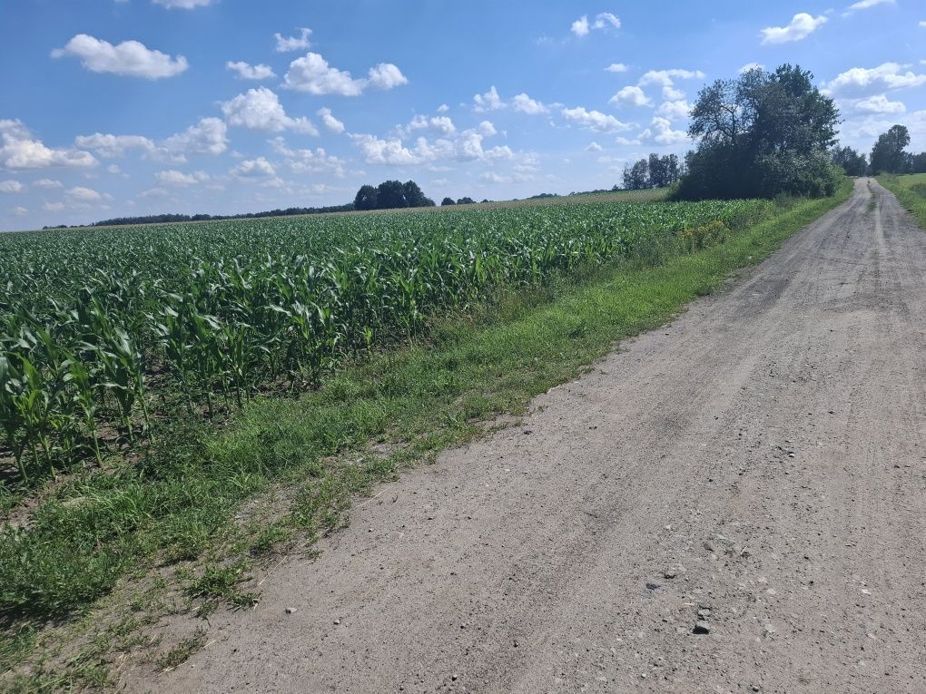 Działka rolna Zawady Dworskie. Zdjęcie 3