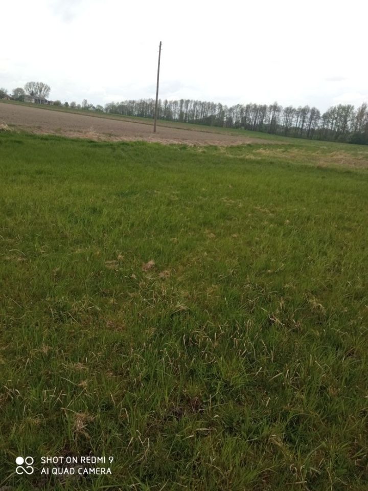 Działka leśna Niedrzwica Duża. Zdjęcie 6