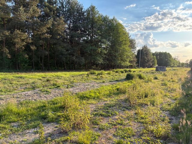 Działka budowlana Kozerki. Zdjęcie 1