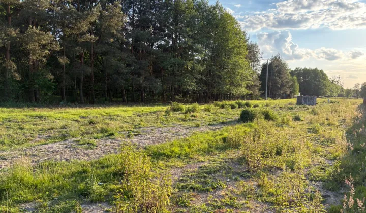 Działka budowlana Kozerki