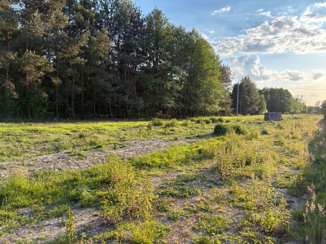 Działka budowlana Kozerki