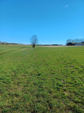 Działka rolno-budowlana Pacanów. Zdjęcie 1