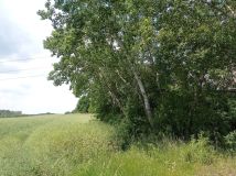 Działka rolna Wancerzów. Zdjęcie 1