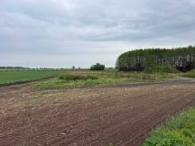 Działka rolna Łysołaje-Kolonia. Zdjęcie 2